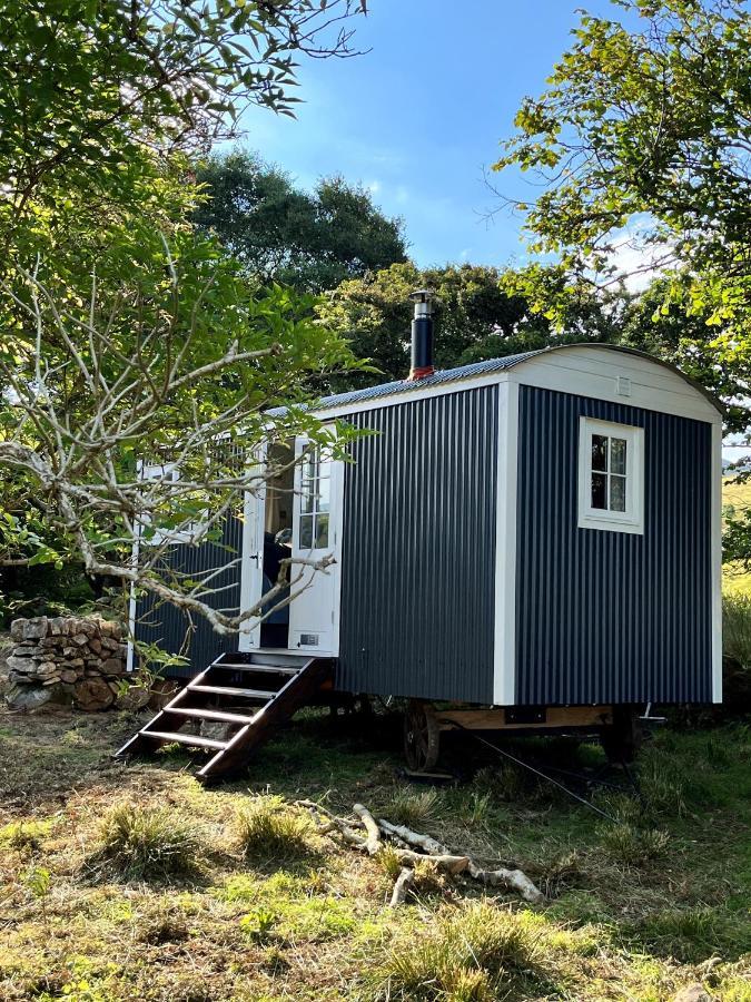 The Hazel Hut Villa Westport Exterior foto