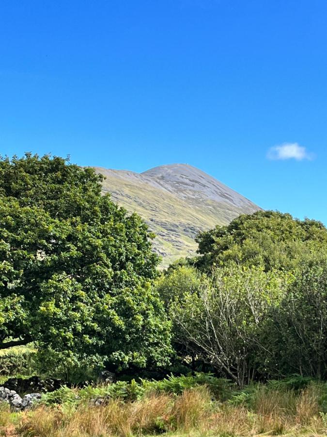 The Hazel Hut Villa Westport Exterior foto